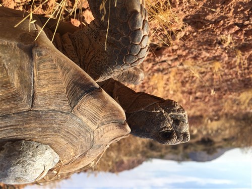 Choose Your Monthly Donation photo